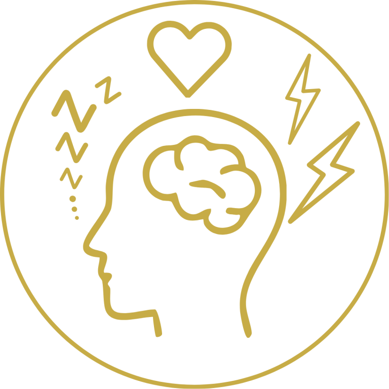 Menschlicher Kopf mit Gehirn, Herz, Schlafhygiene und Stressmanagement Schlafhygiene