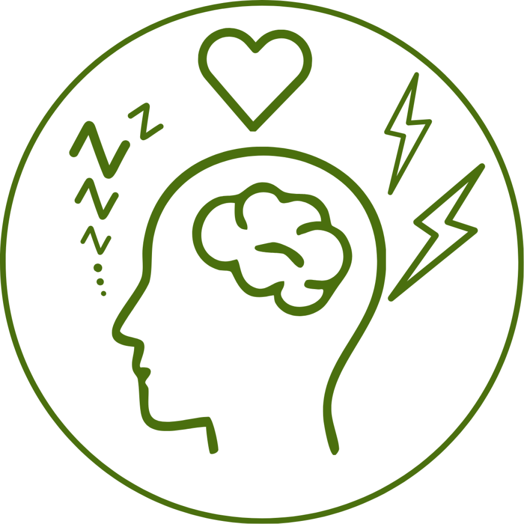 Menschlicher Kopf mit Gehirn, Herz, Schlafhygiene und Stressmanagement Schlafhygiene